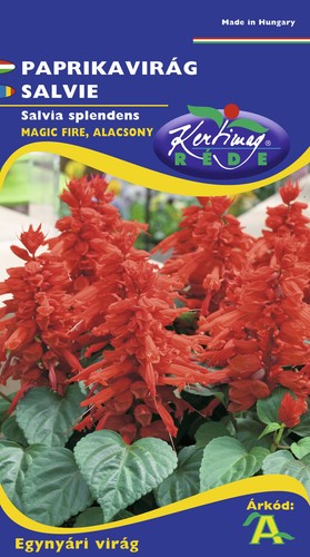 Paprika blume ungarn - ungarn, *