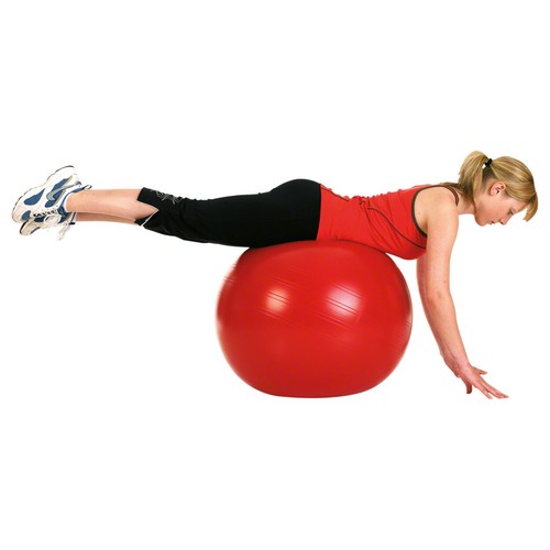 Togu gymnastikball powerball - togu,