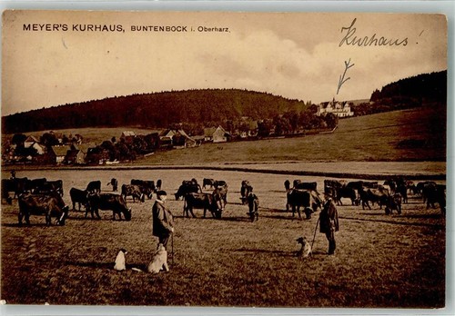 38038684 3392 buntenbock - -,