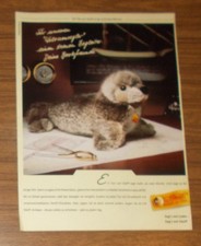 Seltene Werbung vintage STEIFF
