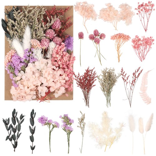 Trockenblumen basteln set - basteln,