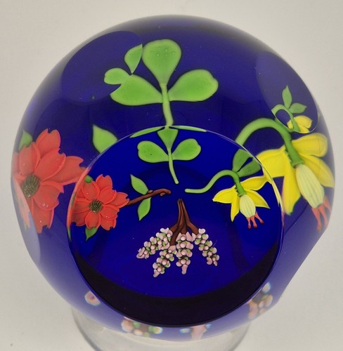 Caithness glas national blumen - caithness,