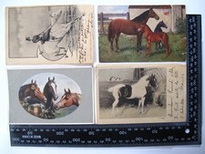 Pferde / Esel - 12X alte