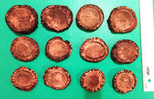 12  Rosen  - Rosetten - Kronen - ca. 40 - 55 mm Ø vom Geweih - Abwurfstangen