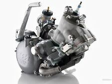 KTM EXC EXE SX GS EGS 300 Motor Motorrevision Motorinstandsetzung