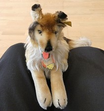 Alter Steiff Collie Hund - 25