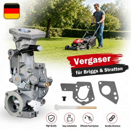 Vergaser für briggs stratton - vergaser,