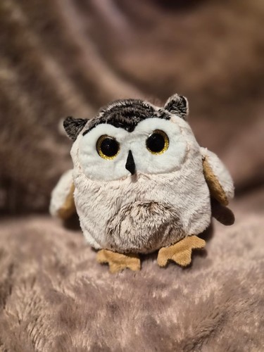 Kleine plüscheule stofftier - plüscheule,