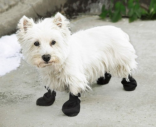 Hunde pfotenschuhe und m - pfotenschuhe, gr.