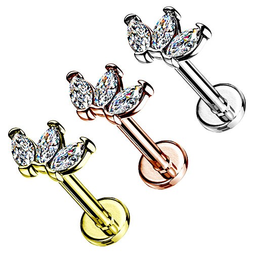 Labret helix tragus conch - labret, ohr