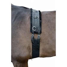 HKM Longiergurt Teddy Shetty