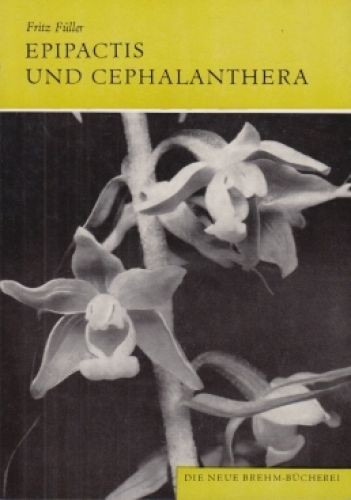 Buch epipactis und - epipactis,