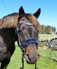 Anatomischer Trense FSS