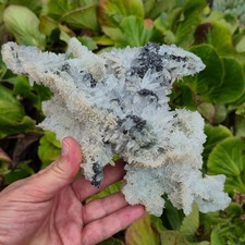 💎Video🌈Top schöne XXL