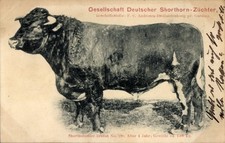 Gesellschaft deutscher - ak,