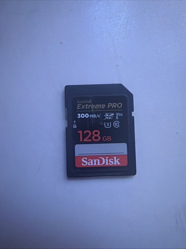Sandisk w129038624 - sandisk,
