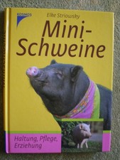 Minischweine - Haltung Pflege