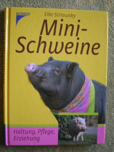 Minischweine haltung pflege - -,