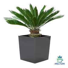 Pflanztopf Eckig Hochglanz