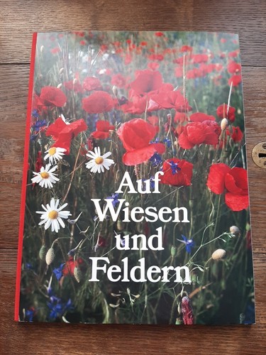 Auf wiesen und feldern - wiesen,
