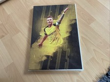 Keilrahmenbild BVB 30x45cm