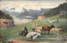 Ziege Schafe Steinbock Hirte Holztrog 