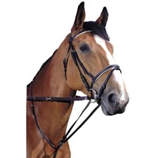 NORTON "Thiedemann" oder