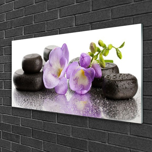 Glasbilder 100x50 wandbild - 100x50,