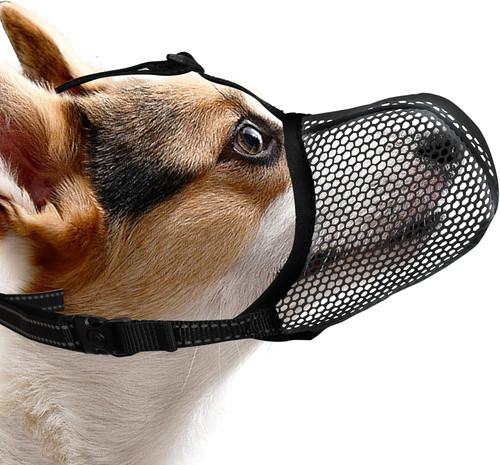 Schwarzer hundemaulkorb - schwarzer,