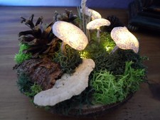 Pilzlicht Nachtlicht