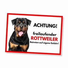 Rottweiler Freilaufender Hund