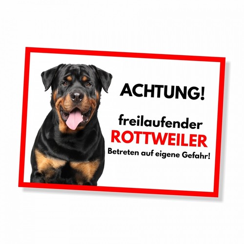 Rottweiler freilaufender hund - rottweiler,