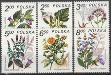 Polen Michel # 2706-11