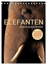 ELEFANTEN - Asiens graue