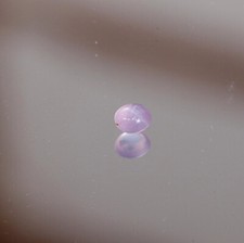 Rosa Saphir Sternsaphir Safir Ceylon Sri Lanka 0,88 ct