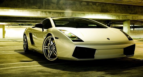 Champion motorsport - champion,