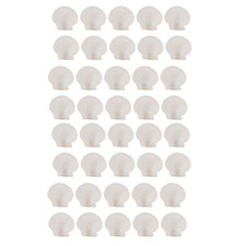 40 Stück Natürliche Jakobsmuscheln, 3,6-6,1 Cm, , Kleine Muscheln zum B9691
