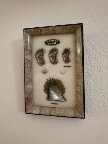 Vintage perlen schaukasten - vintage,