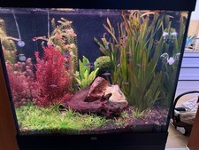 Juwel Lido 200 komplett mit CO2 und 2x Juwel Spektrum WRGB