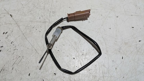 Sensor abgastemperatur 1618lw - abgastemperatur,