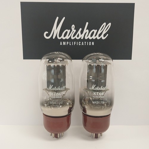 Kt66 original marshall - kt66,