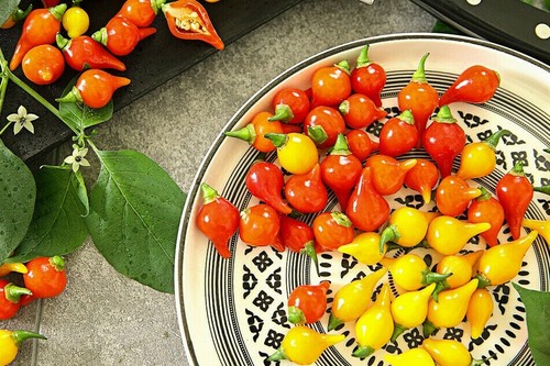 Peperoni edle tropfen - , "
