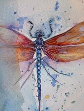  The Dragonfly, Watercolour