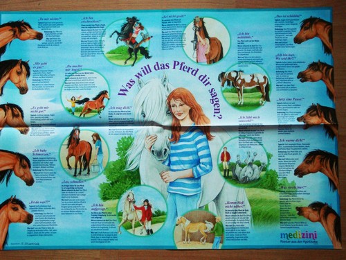 Wissens poster pferde sprache - wissens-poster, pferde-sprache
