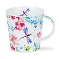 Zerzura libelle dragonfly - zerzura,