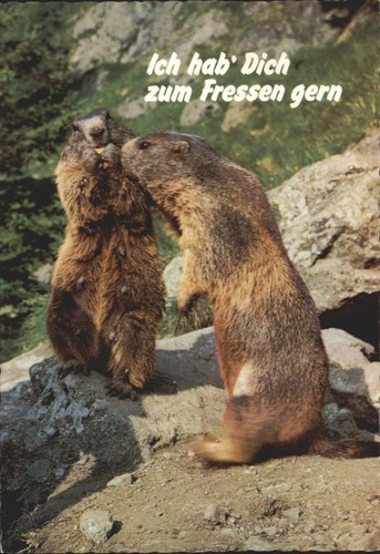 Alte huber deutscher text - alte,