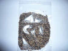 200 g / 0,2 Kg Kanarienfutter Hauptfutter Vogelfutter Kanarienvögel (15,95€/kg)