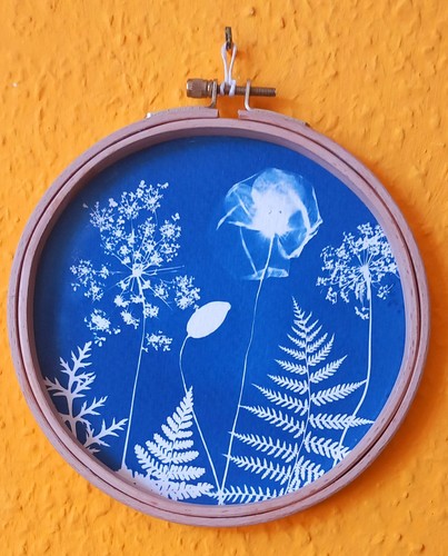 Original druck bild neu - druck,