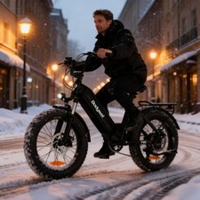 Bodywel F20 E-Bike 20'' Elektrofahrrad 48V 13.5Ah 250W E-Mountainbike Fatbike DE