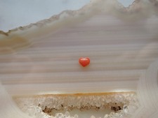 Echte Koralle Cabochon Herz